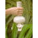 https://www.kandyvapepens.com.imgeng.in/media/catalog/product/cache/1/thumbnail/490x400/9df78eab33525d08d6e5fb8d27136e95/i/g/ig3_3.jpg